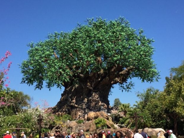 The Exciting Future of Disney’s Animal Kingdom After Tropical Americas