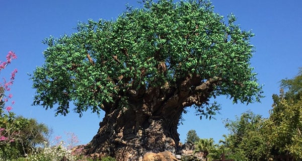 The Future of Disney's Animal Kingdom After Tropical Americas