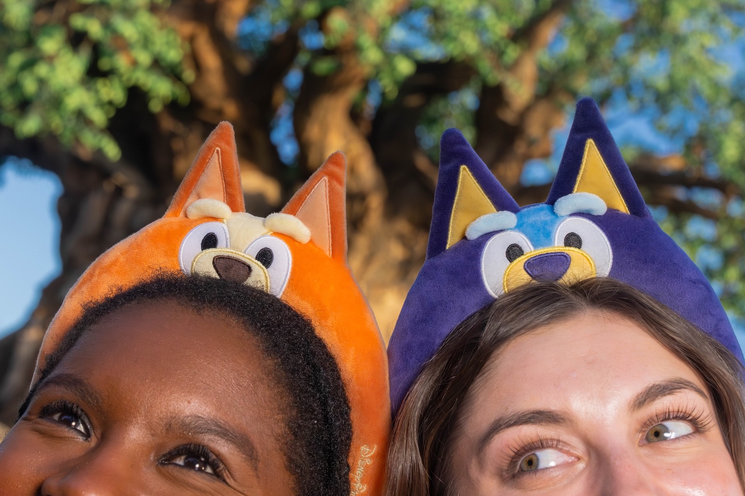 Bluey at Disneys Animal Kingdom 3 – WDWINFO.COM Bluey’s Wild World at Disney’s Animal Kingdom: Here’s Everything You Need to Know Bluey at Disneys Animal Kingdom 3