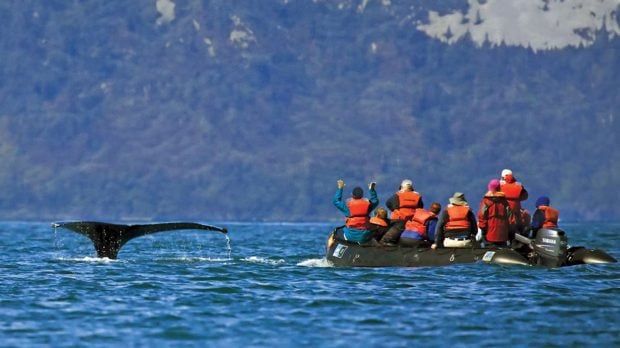 Save ,500 Per Guest on Select 2026 NatGEO-Lindblad Expeditions Large-RGB-LEX-US-Alaska-AK246-16x9  