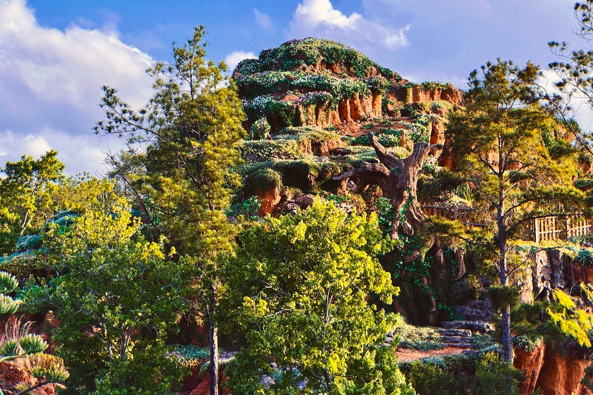 Should New Restraints Be Added to Tiana's Bayou Adventure?