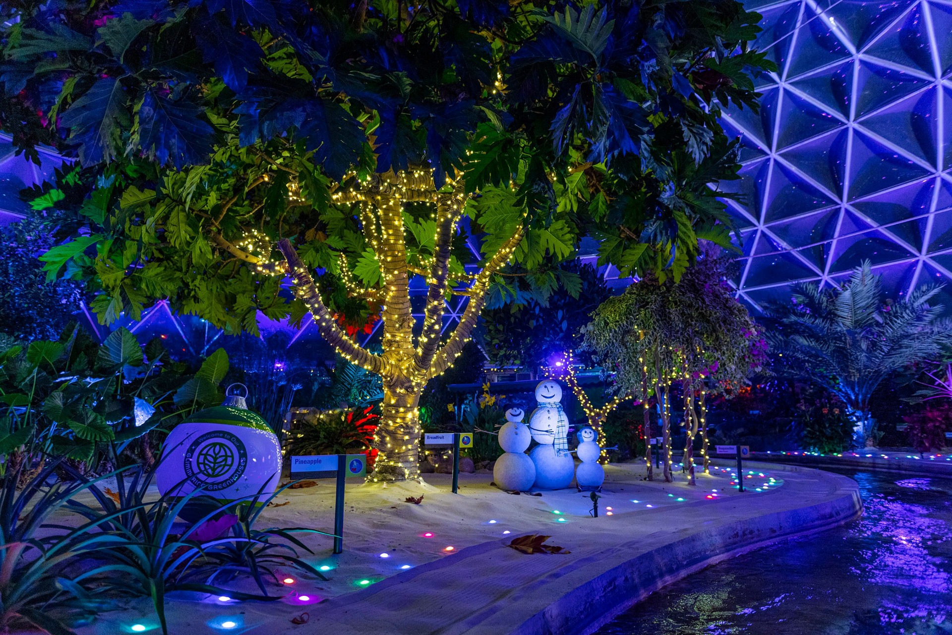 Living-with-the-Land-Holidays | WDWINFO.COM Are You Trying to Do Too Much at Disney World This Christmas? Living-with-the-Land-Holidays