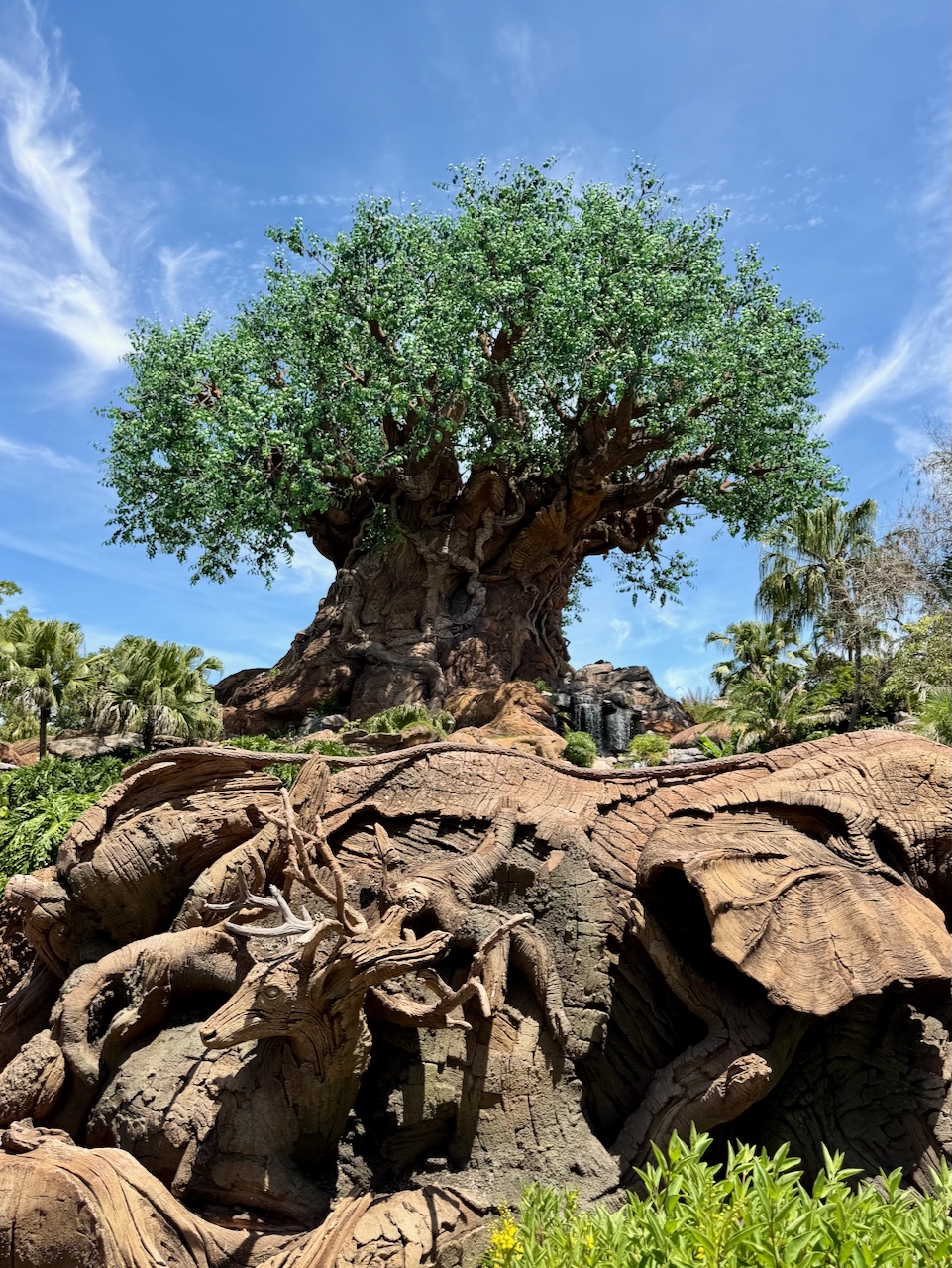 The Tree of Life at Disney's Animal Kingdom Theme Park
