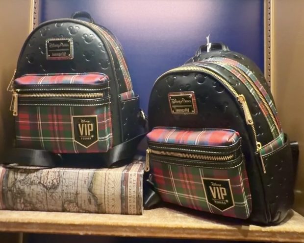 A Full Look at Disney World’s Exclusive VIP Tour Merch
