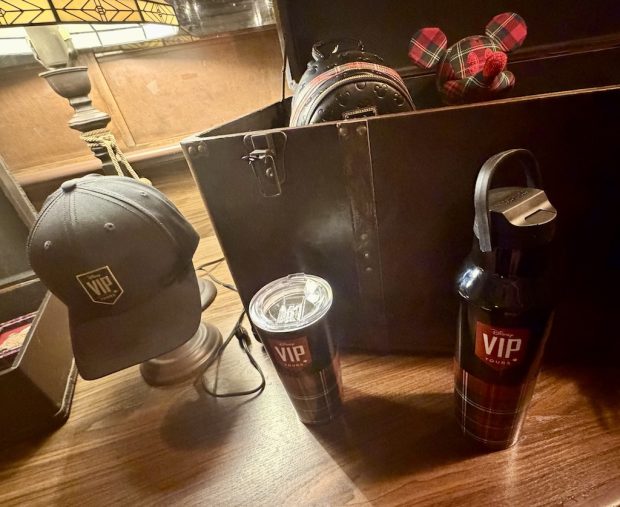 Vip Rporate Merch A Full Look at Disney World’s Exclusive VIP Tour Merch