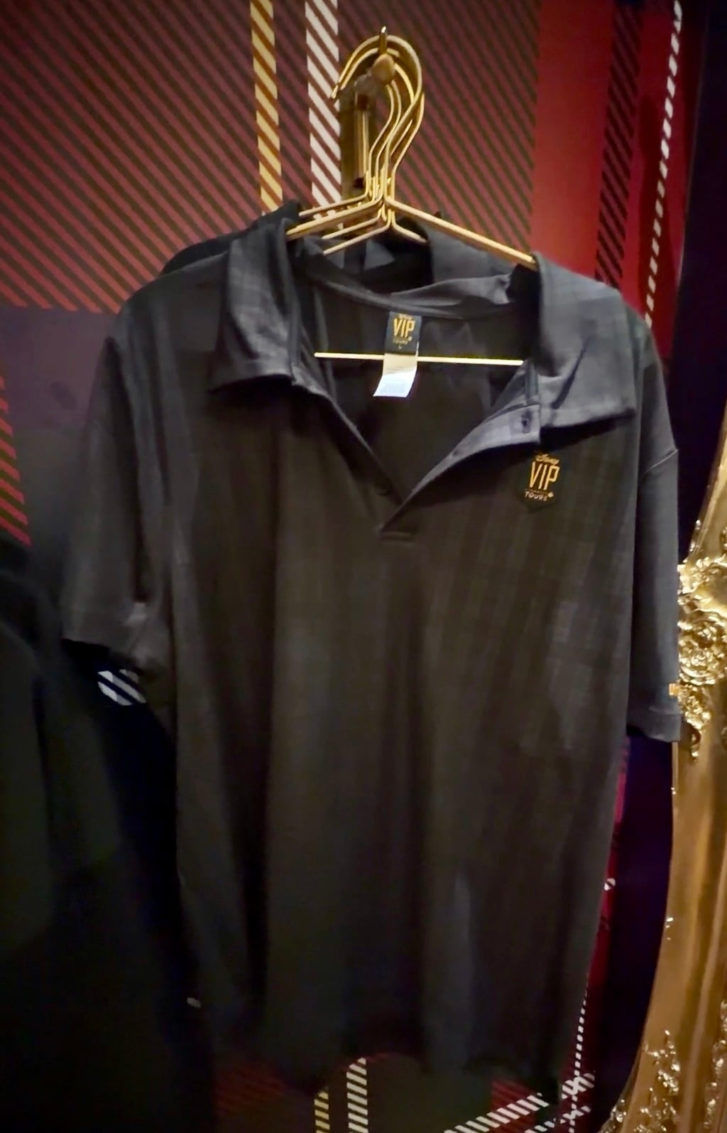 Vip Rporate Merch A Full Look at Disney World’s Exclusive VIP Tour Merch