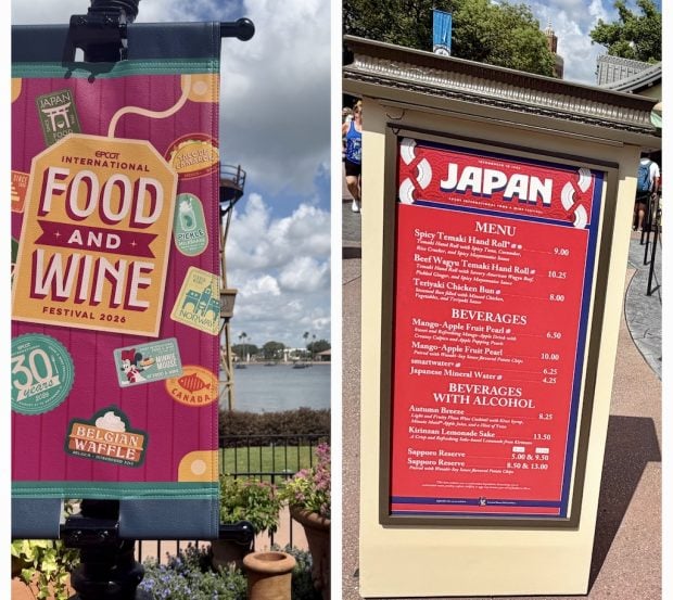 The Perfect Food & Wine Dish For A Warm Day at EPCOT Food Wine Japan