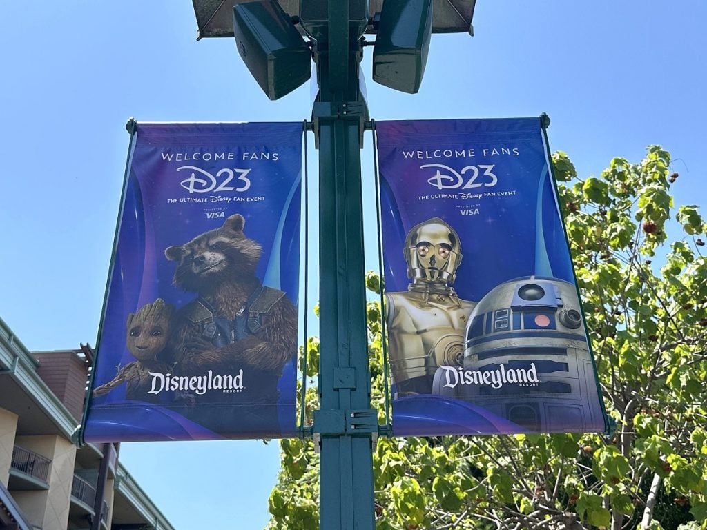 d23