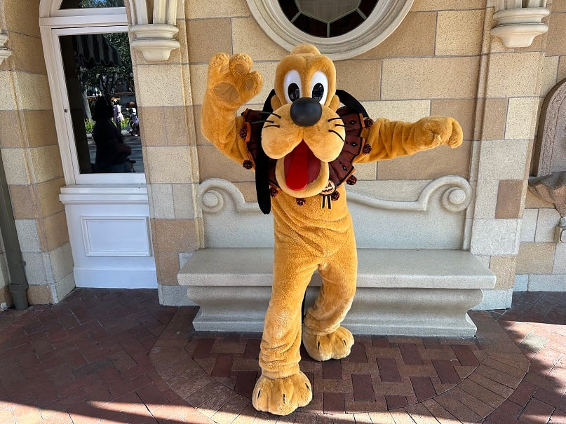 IMG_9027 | WDWINFO.COM Disneyland Halloween 2026: New Mickey and Friends Costumes IMG_9027 pluto