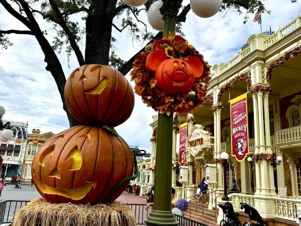 Does Disney World Lose Some Magic When You Live in Florida? Magic Kingdom Halloween Decor Main Street-chloe 22
