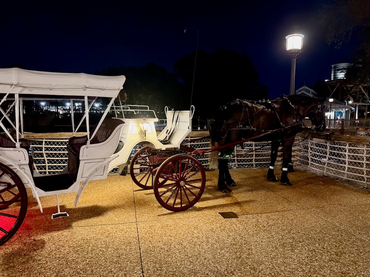 Horse-drawn carriage ride at Port Orleans Riverside