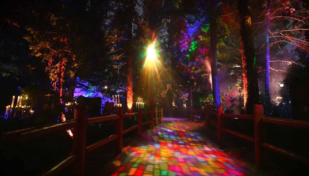 New Villains Grove Ambiance Might Be Disney’s Best! Villains Grove Disney Ambiance Path
