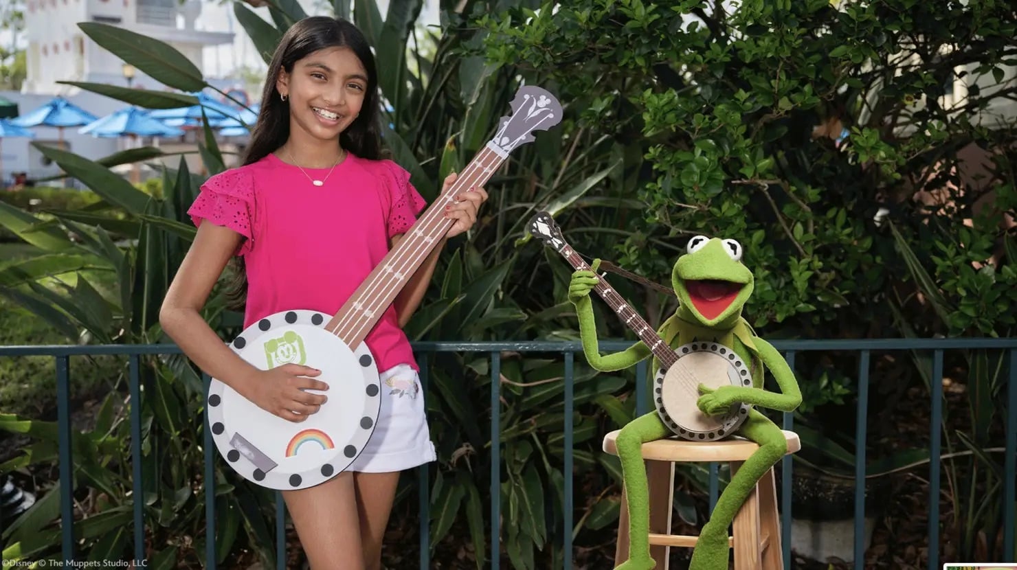 New Disney World Annual Passholder Perks: Kermit the Frog Takes Center Stage