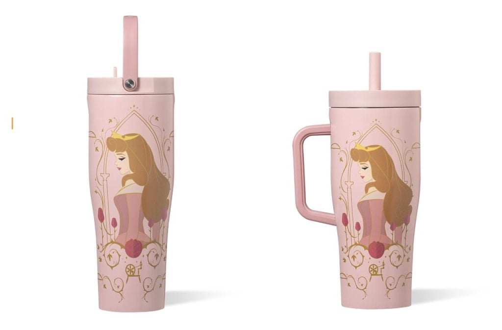 Corkcicle Aur Large | WDWINFO.COM New Disney Princess Corkcicle Designs Coming Soon Corkcicle Aur Large