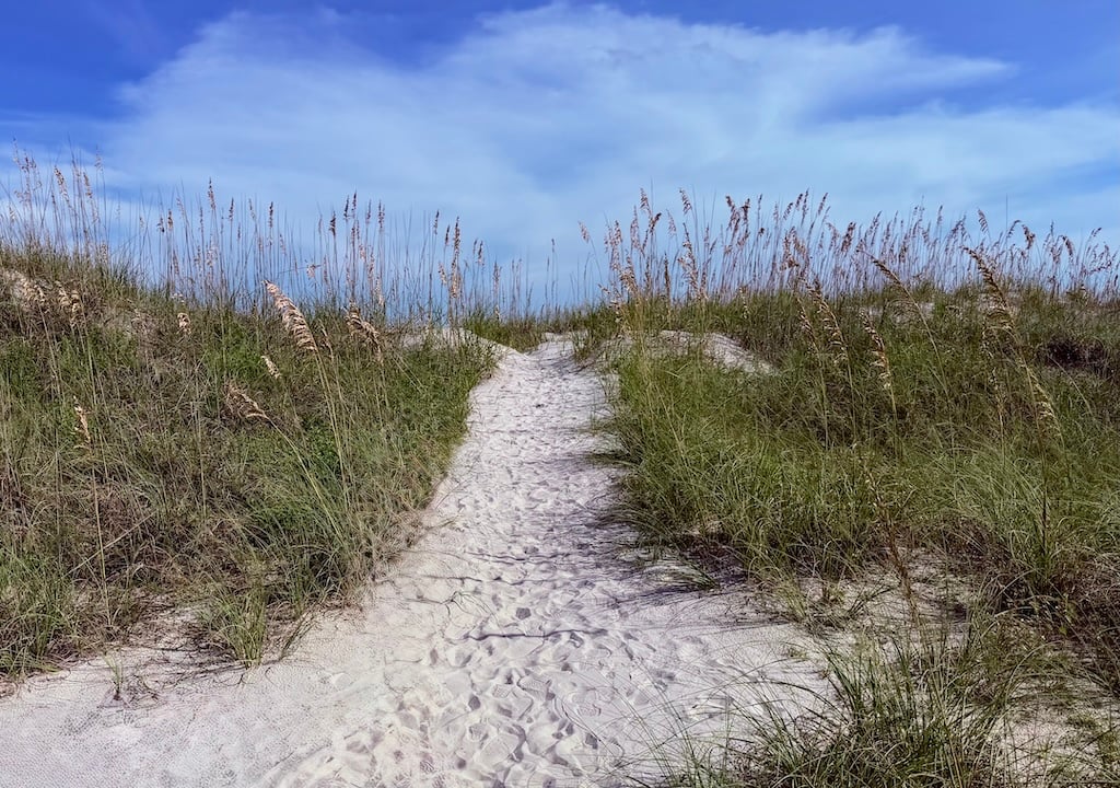 Hilton Head 30 | WDWINFO.COM ~Sea~ a Tour of Disney’s Hilton Head Island Resort Hilton Head 30