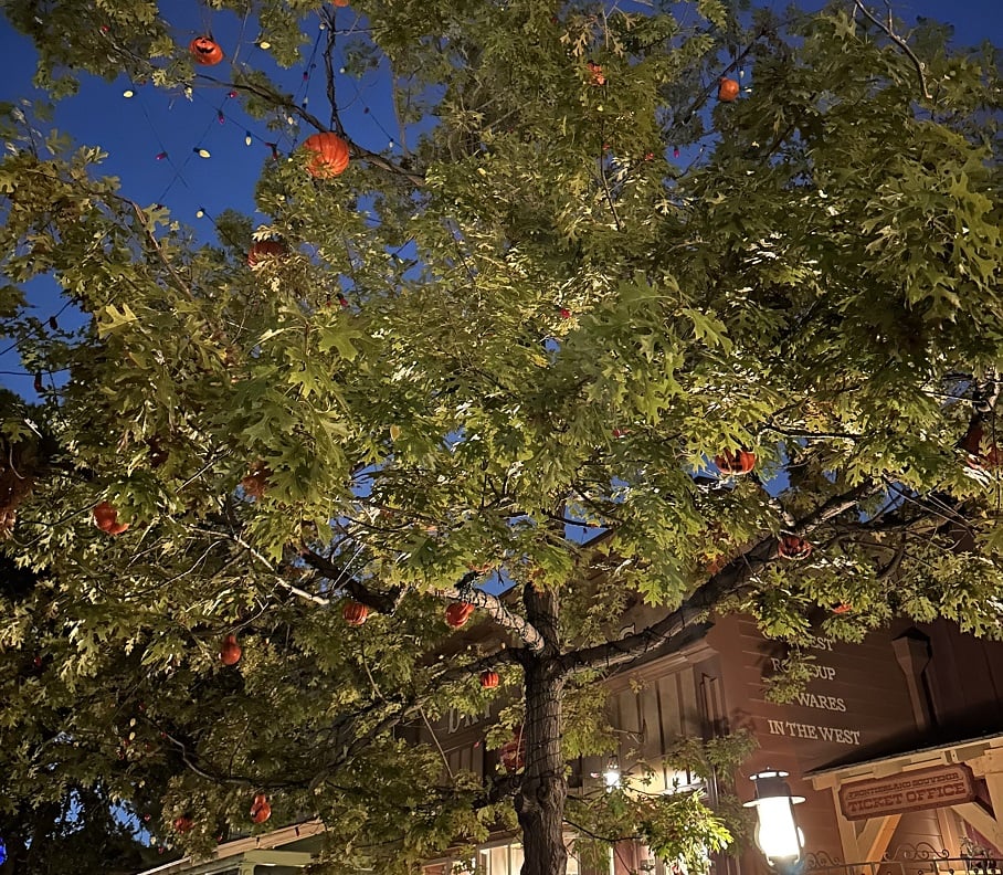 alloween Tree
