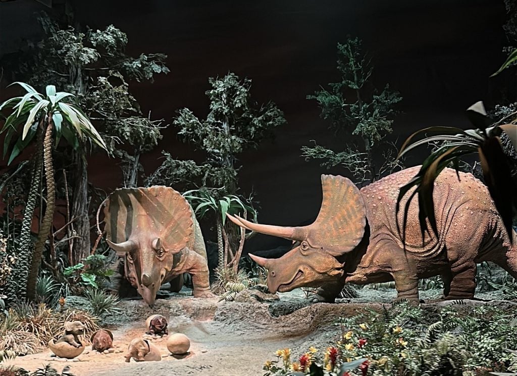 Primeval World