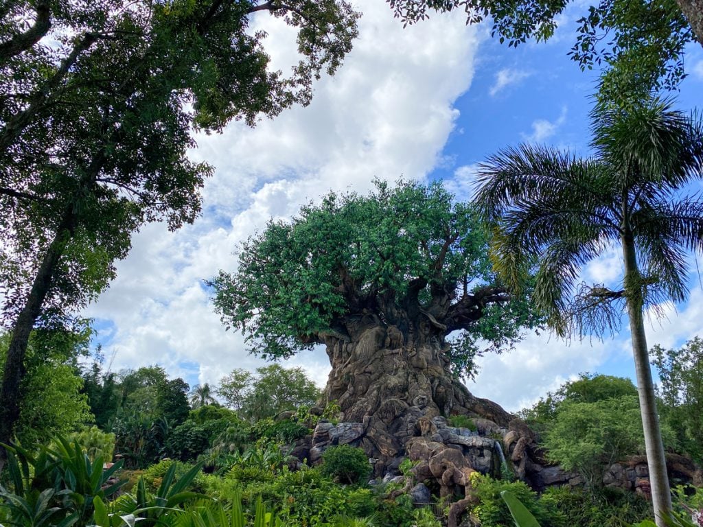 dak-tree-of-life-AdobeStock_490925894_Editorial_Use_Only | WDWINFO.COM Tips for Visiting Walt Disney World With Older Adults dak-tree-of-life-AdobeStock_490925894_Editorial_Use_Only