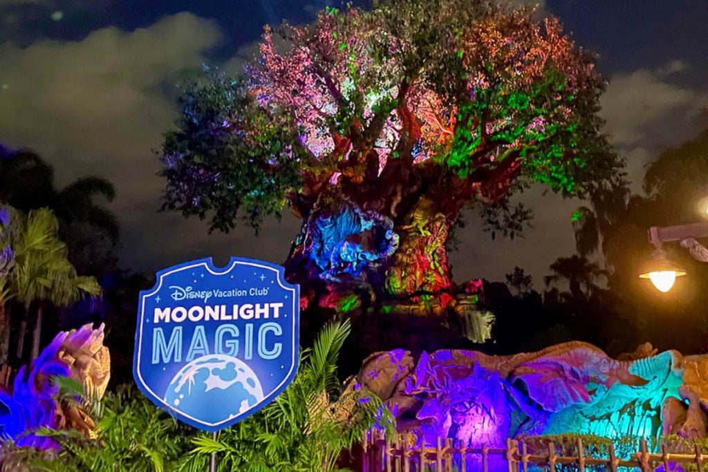 NEW 2026 Moonlight Magic Dates Released for DVC Members dvc-moonlight-magic-dak