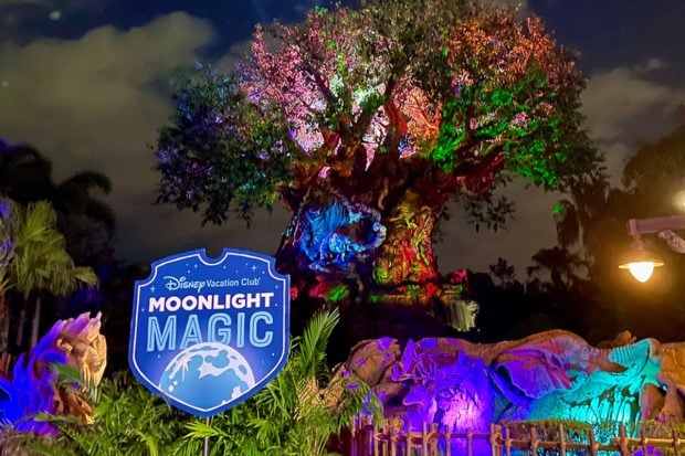 NEW 2026 Moonlight Magic Dates Released for DVC Members dvc-moonlight-magic-dak