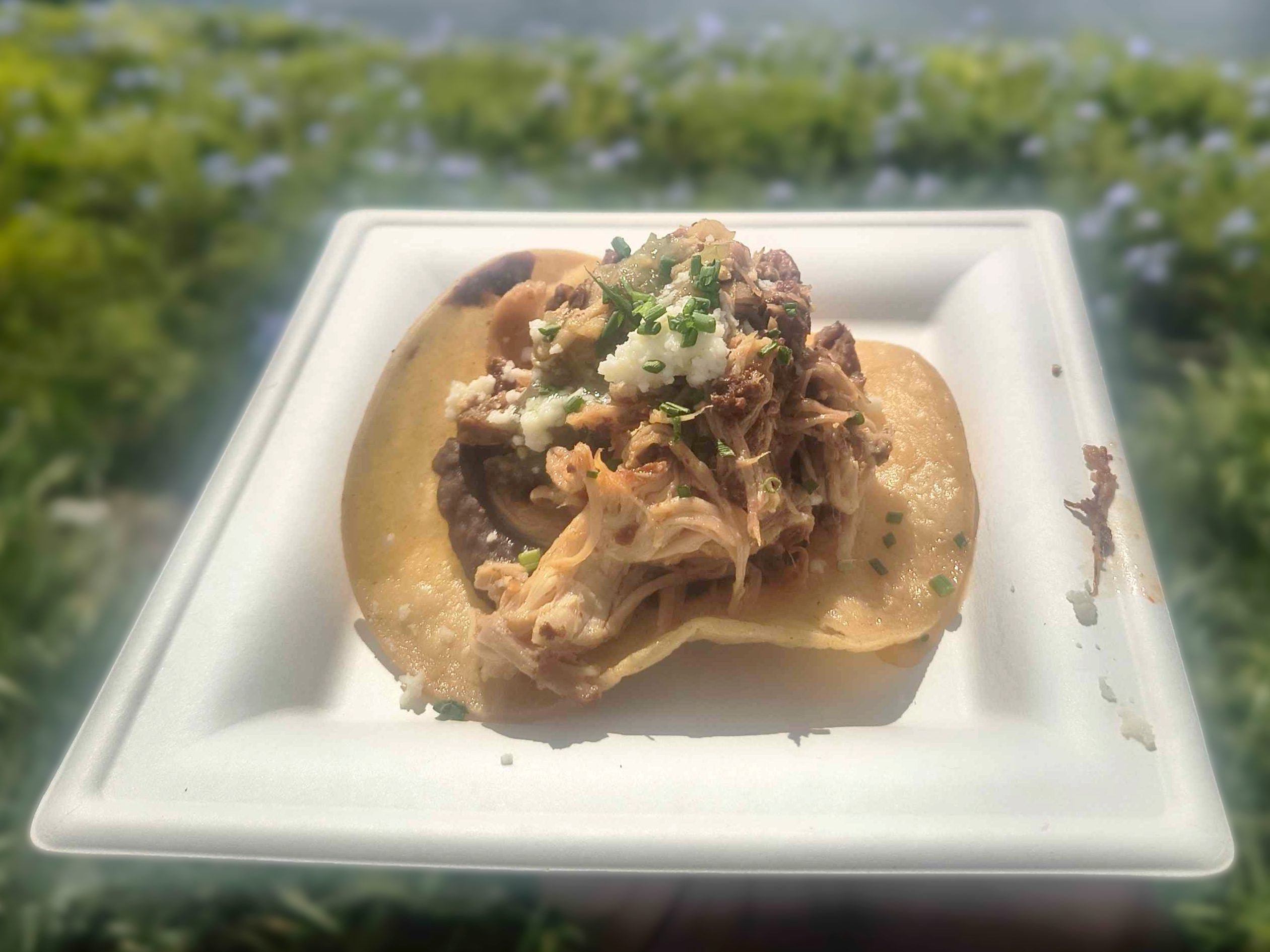 pork taco | WDWINFO.COM The Best and Worst at Food and Wine Festival 2026 pork taco