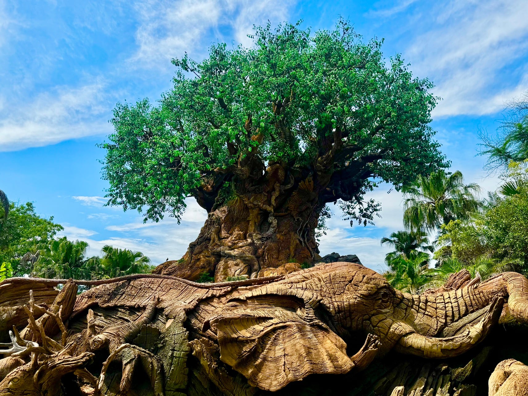tree of life-DAK-chloe | WDWINFO.COM Chloe’s Pooh Corner: The BEST Sweet Treat at Disney’s Animal Kingdom tree of life-DAK-chloe