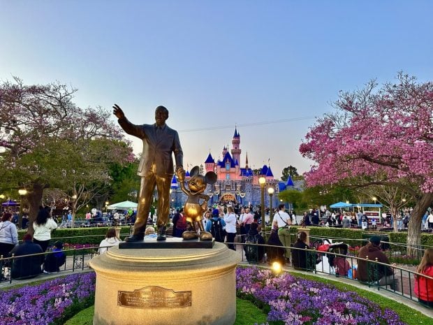 Is Technology Taking the Magic Out of Solo Disney Trips? 2024 - Zoe - DLR Night Large 2