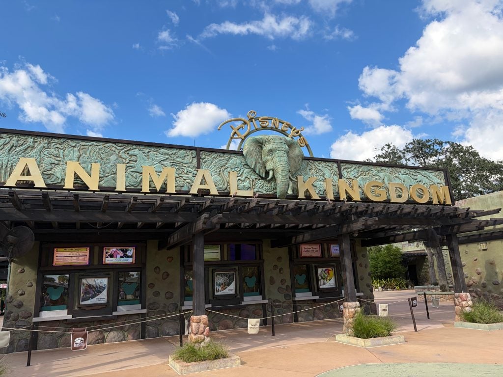 Animal Kingdom | WDWINFO.COM Why Is the Mummy Twist the Best Halloween Treat at Animal Kingdom This Year? Animal Kingdom