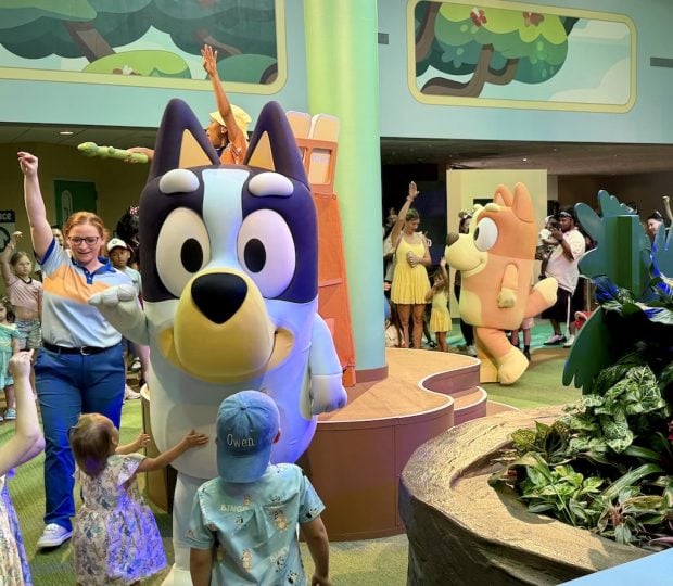 Did Disney Sabotage Bluey at Walt Disney World? Blueys-Wild-World-5