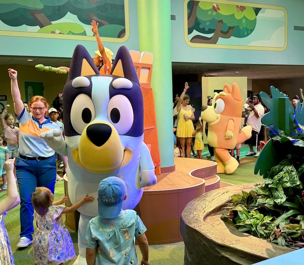 Did Disney Sabotage Bluey at Walt Disney World? Blueys-Wild-World-5