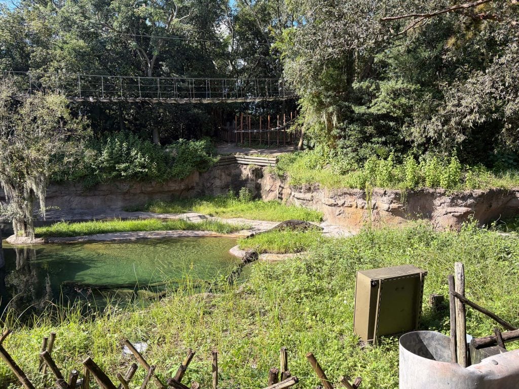SafariNile | WDWINFO.COM Why Does Kilimanjaro Safari at Animal Kingdom Always Have a Short Wait Time? SafariNile