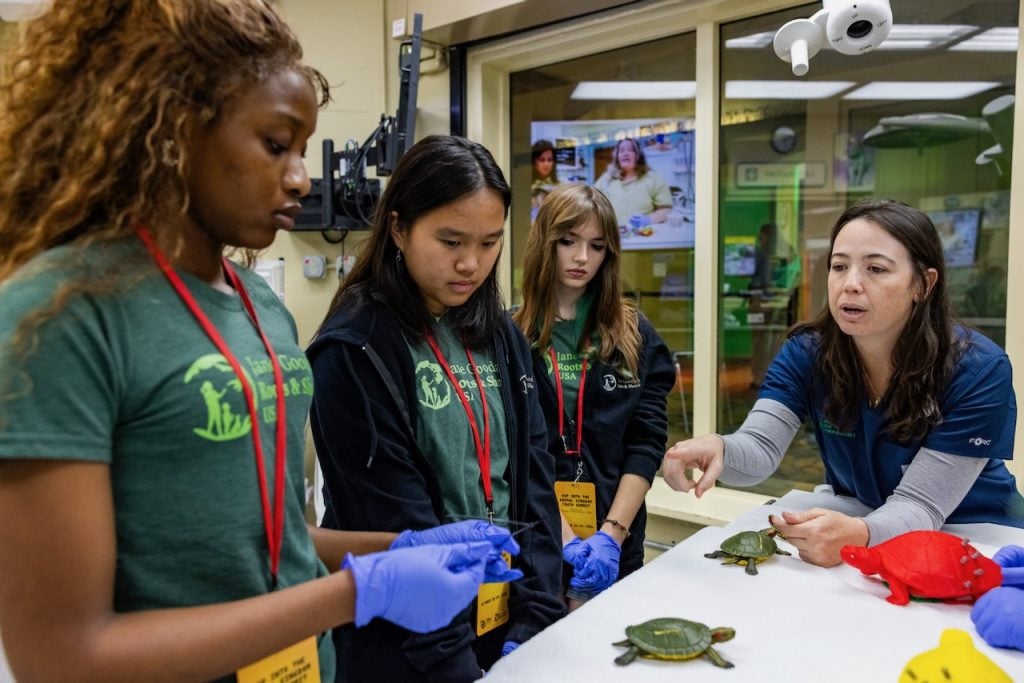 disney-conservation-fund-youth-summit - 3 | WDWINFO.COM Disney Donates Million to Jane Goodall’s Roots & Shoots disney-conservation-fund-youth-summit - 3