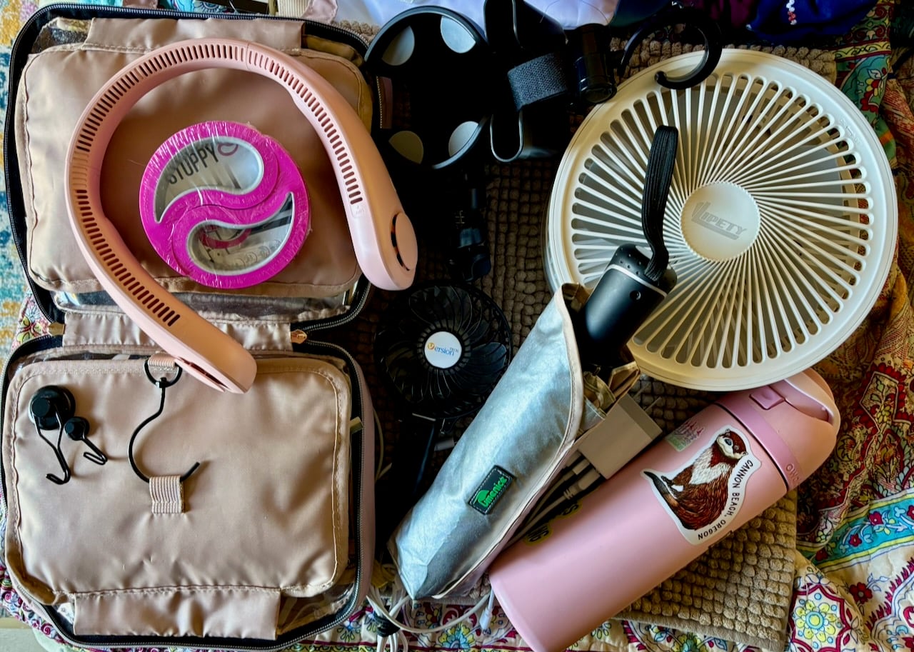 10 Travel Essentials I Never Leave Home Without for Disney Trips disney travel necessities jackie header - 1