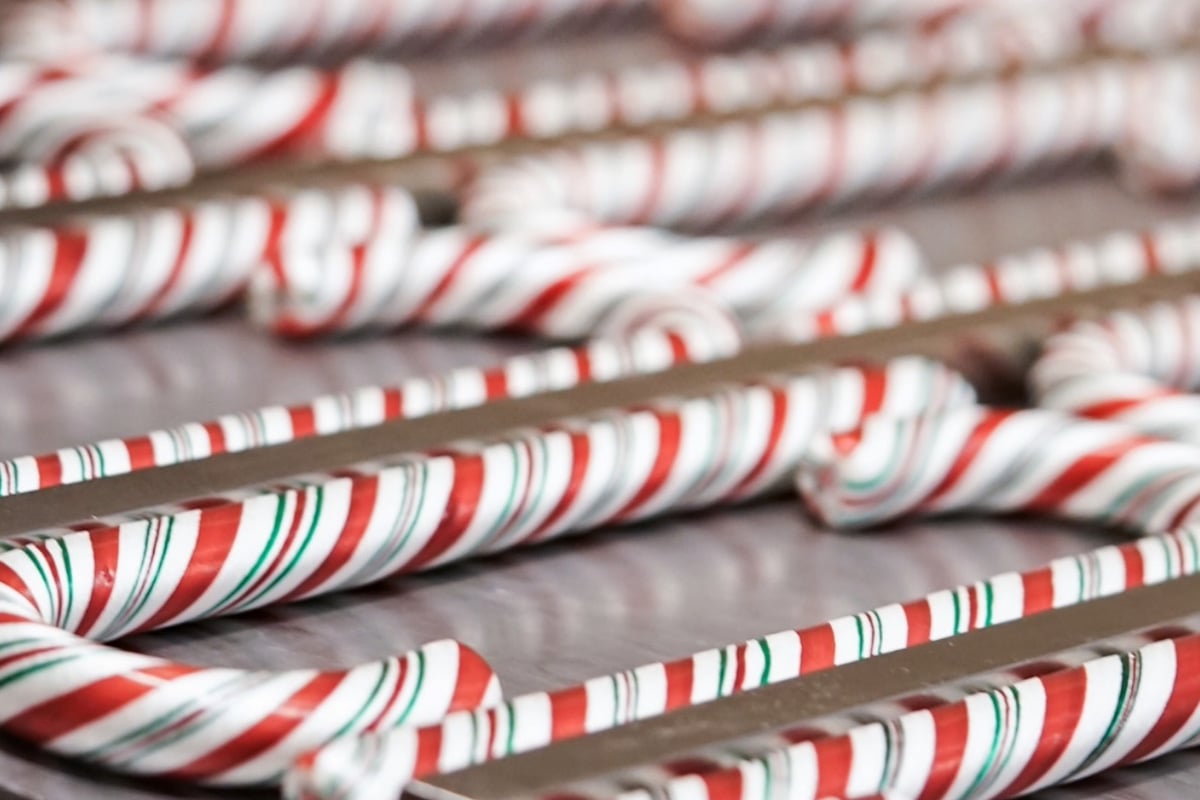 disneyland-handmade-candy-canes | WDWINFO.COM Disneyland’s Famous Candy Canes Return! See the 2026 Dates disneyland-handmade-candy-canes