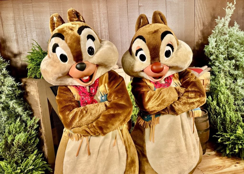 fort wilderness campground chip and dale_chloe | WDWINFO.COM Camping With Chip ‘n’ Dale! Cute Fort Wilderness Merchandise at Disney World fort wilderness campground chip and dale_chloe