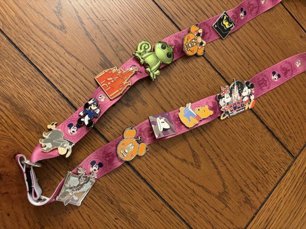 rsz_image lanyard | WDWINFO.COM Activities at Disney World: Affordable Learning and Fun rsz_image lanyard